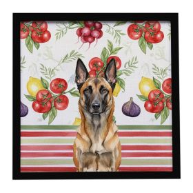 Belgian Malinois Vegetables Framed Metal Print Bathroom, Kitchen, Office, Home Decor Wall Art Ready to Hang, Square, 8X8