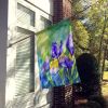 Tennessee Iris in Watercolor House Flag Large Porch Sleeve Pole Decorative Outside Yard Banner Artwork Wall Hanging, Polyester, House Size, Multicolor