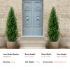 Artificial Cedar Topiary Tree, 48 inch Tall (2 Pieces), with Extra Leaves & Pot Faux Evergreen Fake Pine Cypress Trees Plant