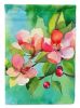 Arkansas Apple Blossom in Watercolor House Flag Large Porch Sleeve Pole Decorative Outside Yard Banner Artwork Wall Hanging, Polyester, House Size